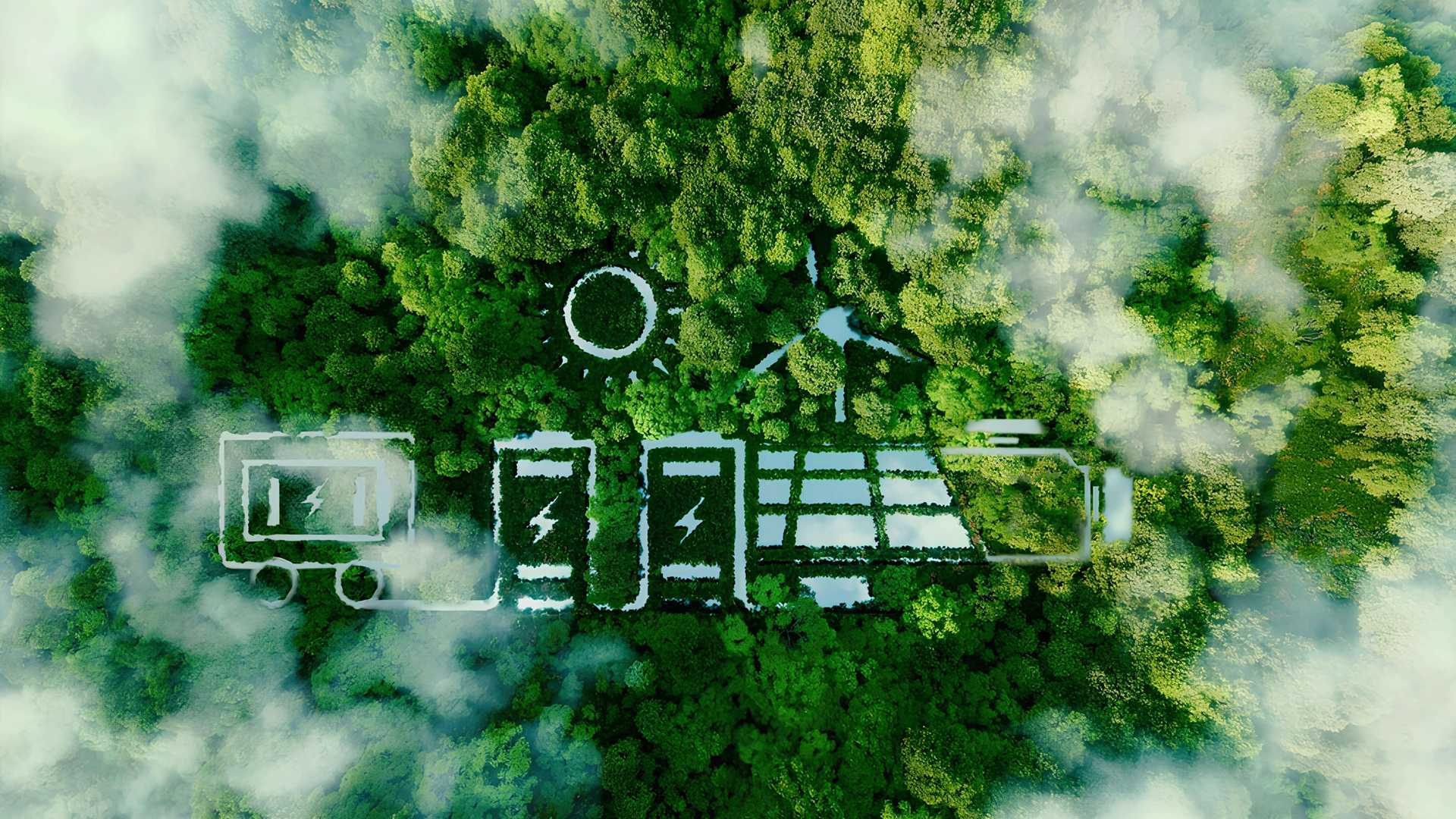 Company Profile Overview